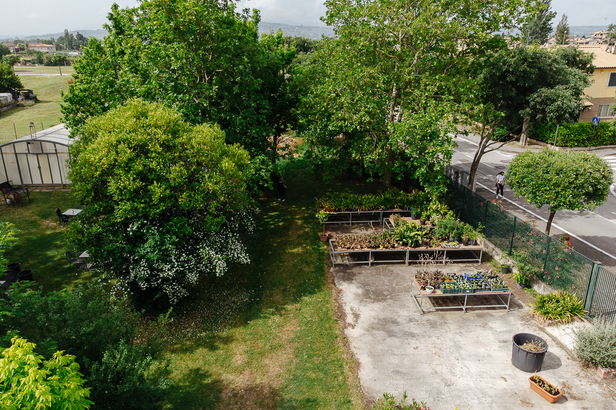 DJI_0530
